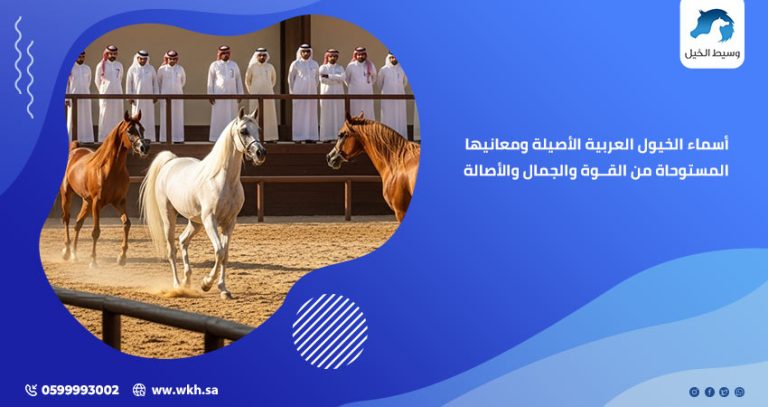 أسماء الخيول العربية الأصيلة