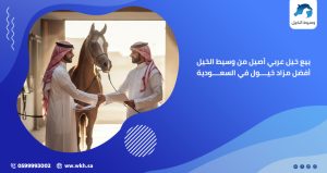 بيع-خيل-عربي-أصيل
