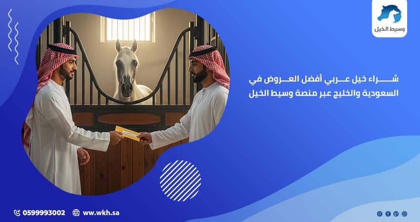 شراء خيل عربي