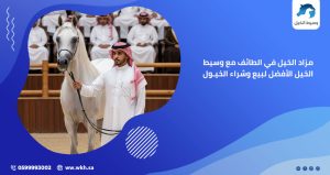 مزاد الخيل في الطائف