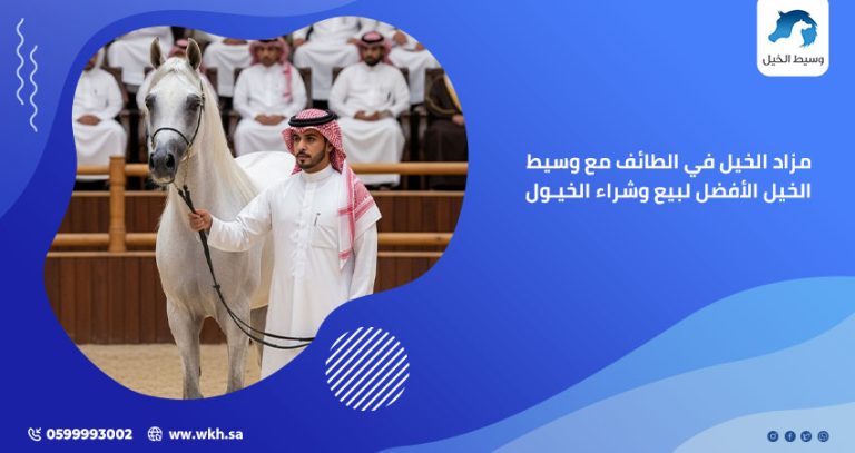 مزاد الخيل في الطائف