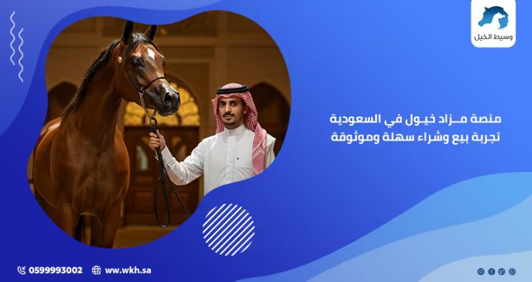 منصة مزاد خيول في السعودية