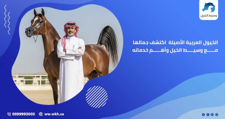 الخيول العربية