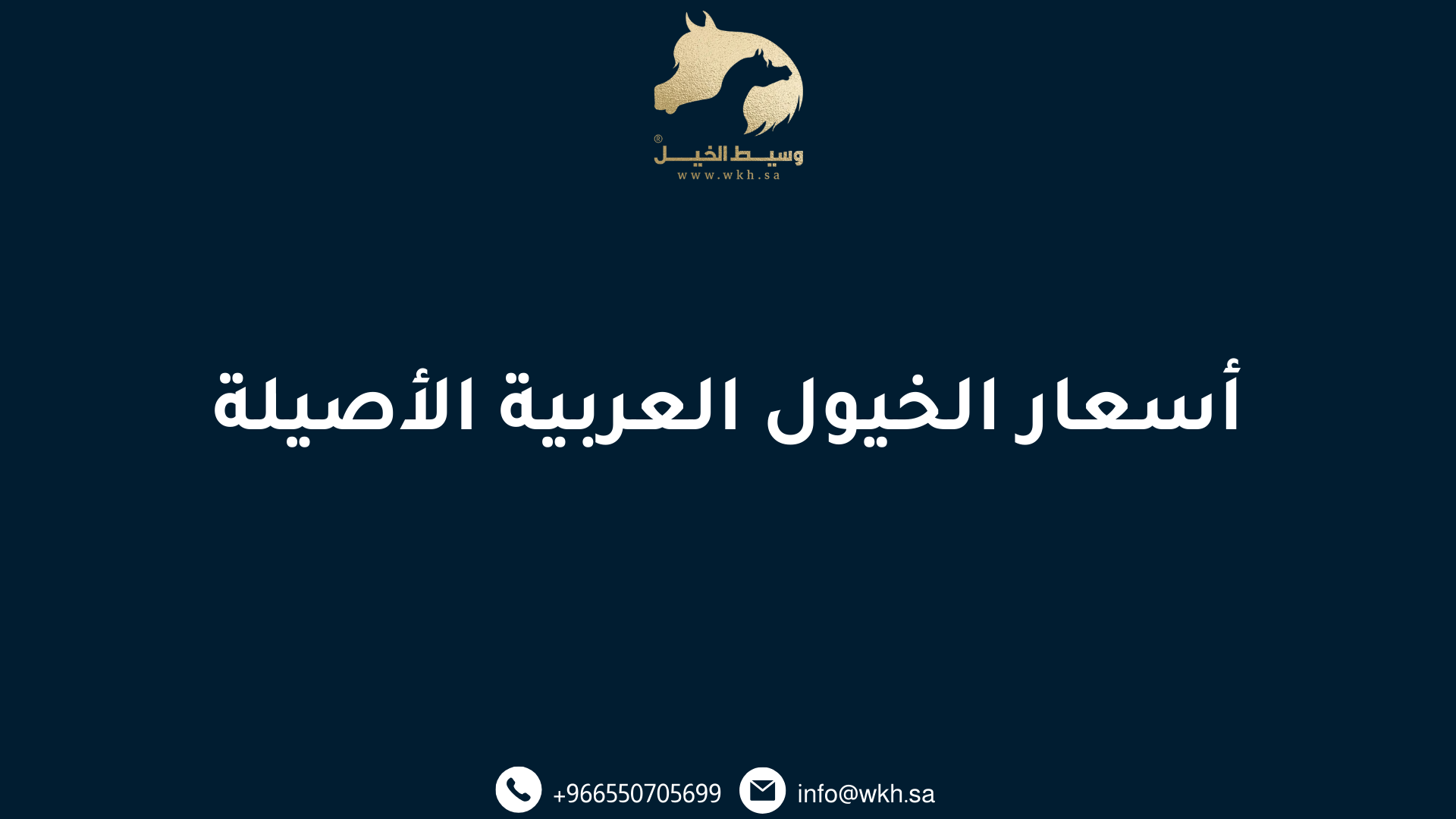 أسعار الخيول العربية الأصيلة