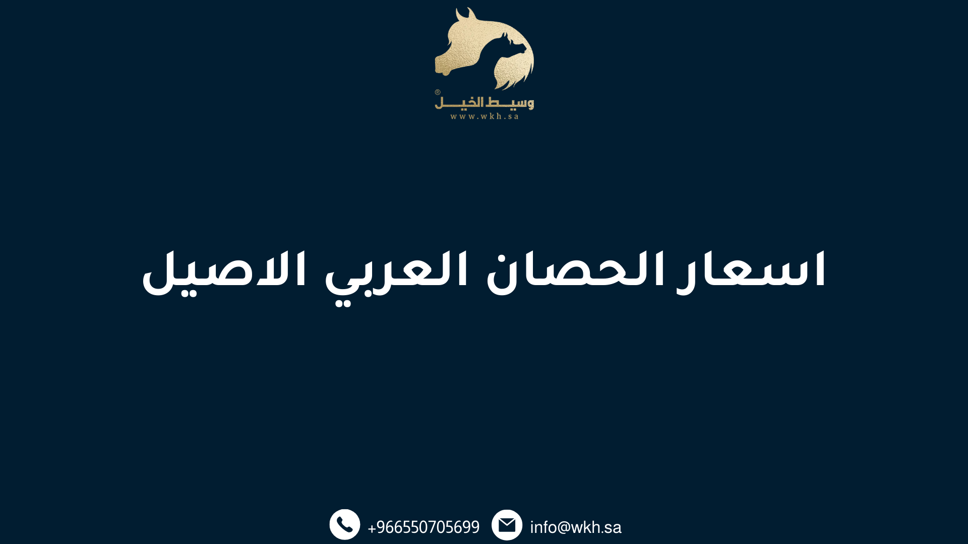 اسعار الحصان العربي الاصيل