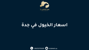 اسعار الخيول في جدة