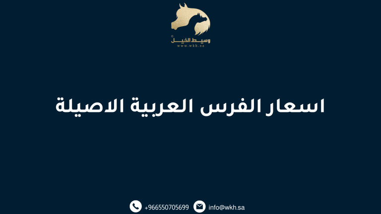 اسعار الفرس العربية الاصيلة
