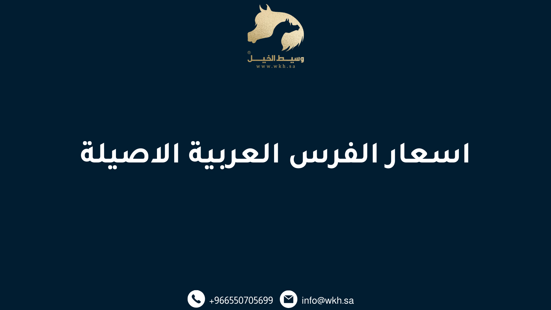 اسعار الفرس العربية الاصيلة