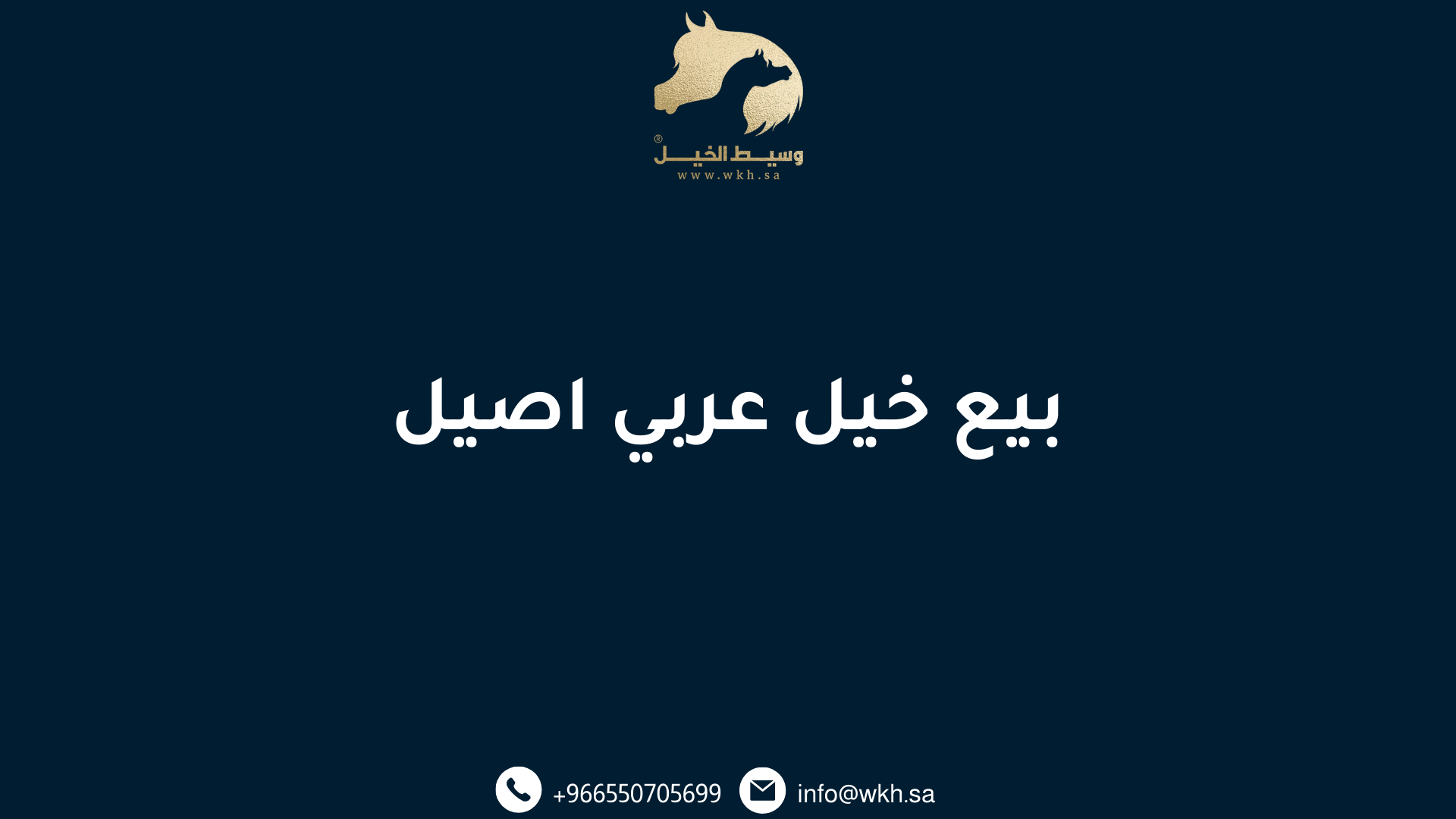 بيع خيل عربي اصيل