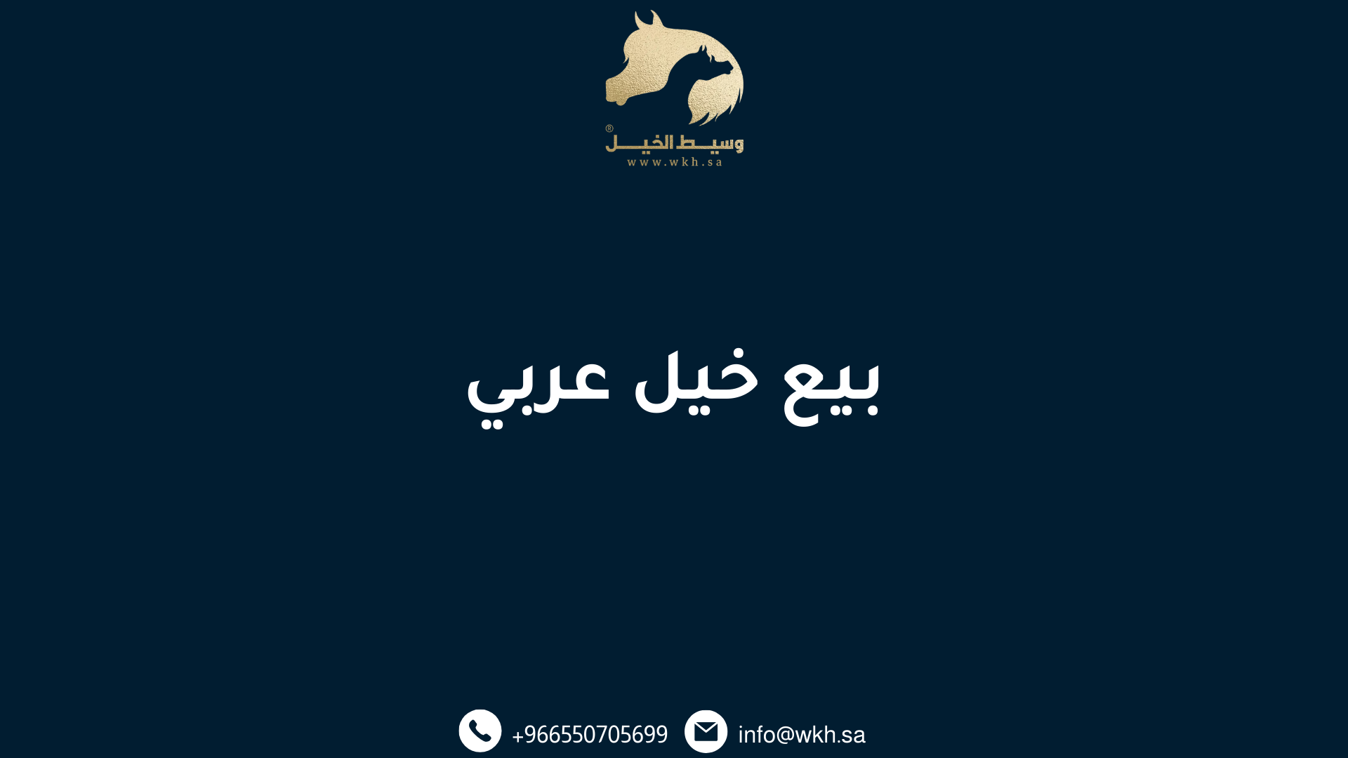 بيع خيل عربي