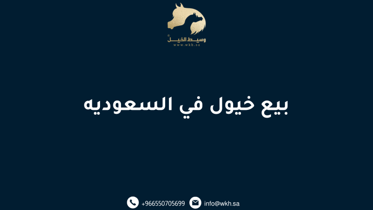بيع خيول في السعوديه