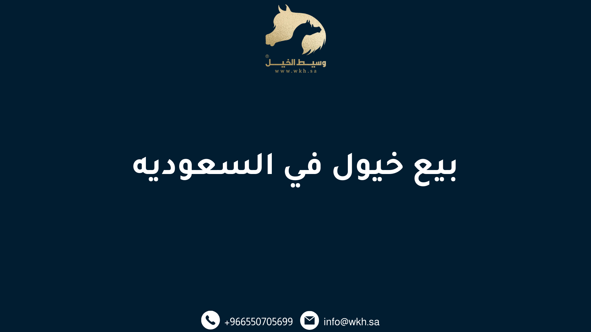 بيع خيول في السعوديه