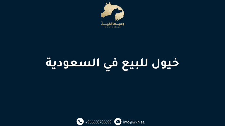 خيول للبيع في السعودية