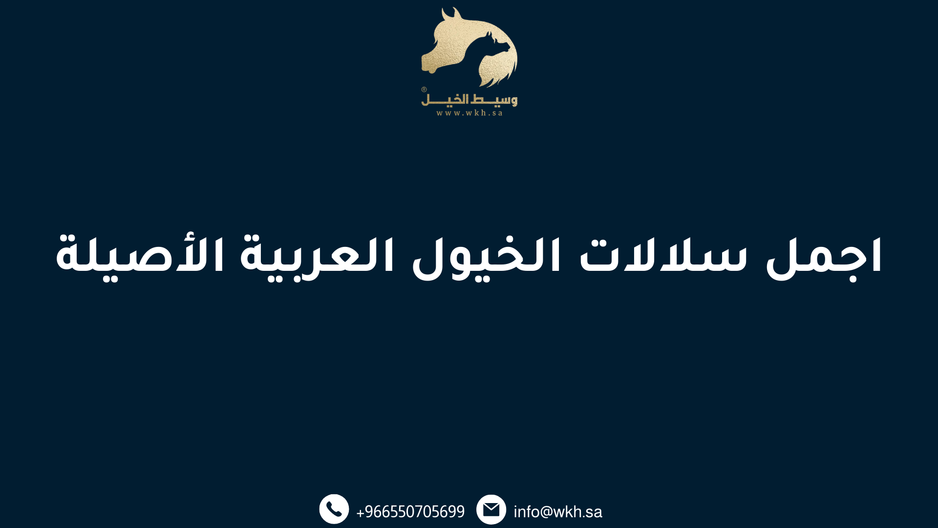 اجمل سلالات الخيول العربية الأصيلة