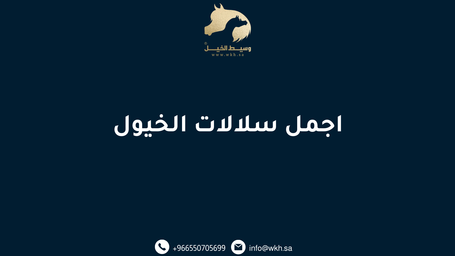 اجمل سلالات الخيول