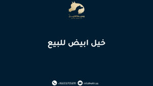 خيل ابيض للبيع