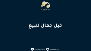 خيل جمال للبيع