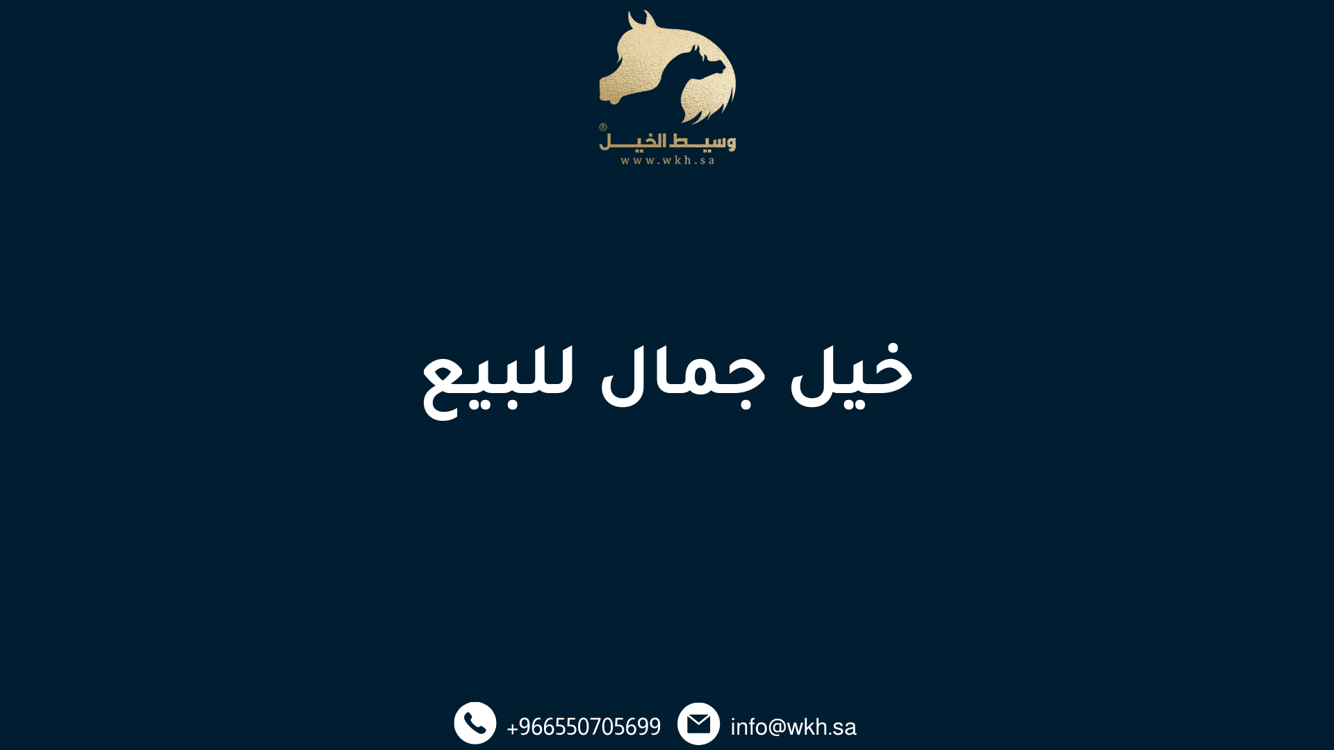 خيل جمال للبيع