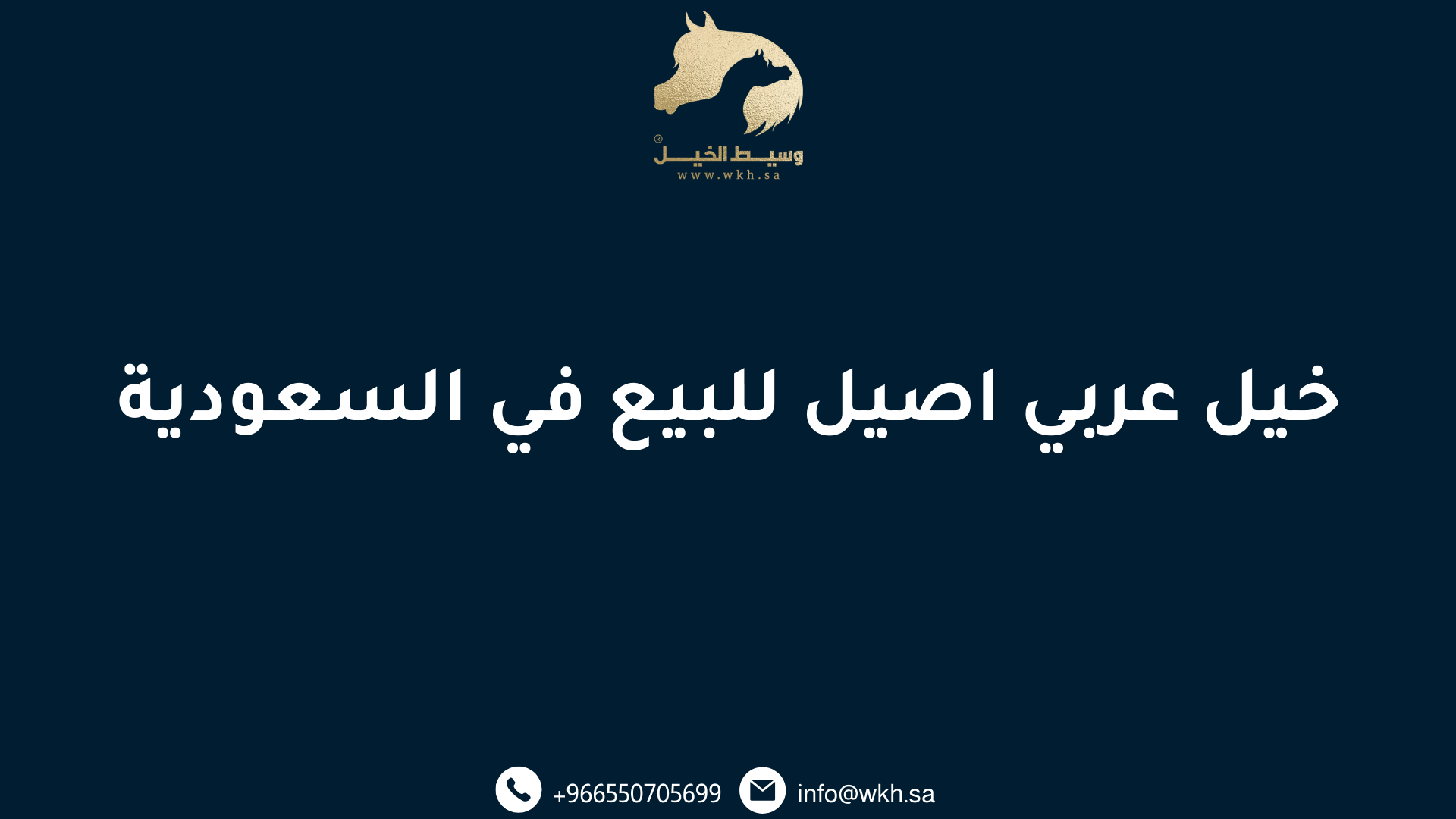 خيل عربي اصيل للبيع في السعودية