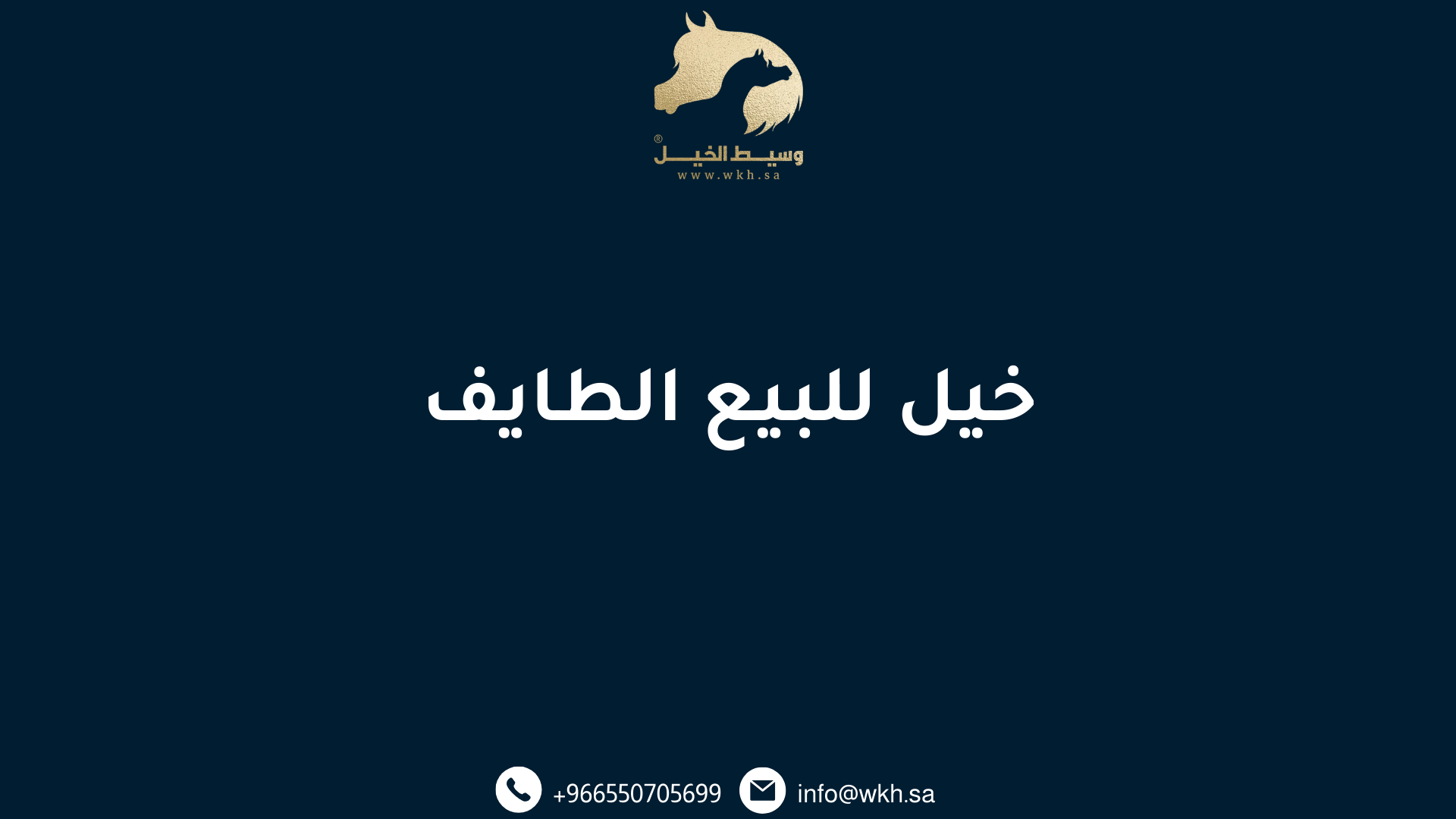 خيل للبيع الطايف