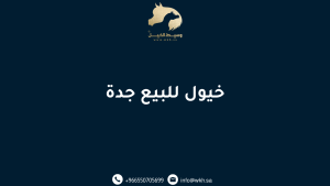 خيول للبيع جدة