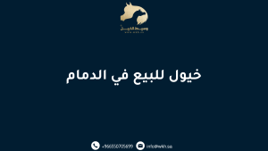 خيول للبيع في الدمام