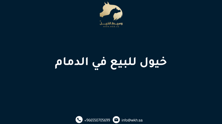 خيول للبيع في الدمام