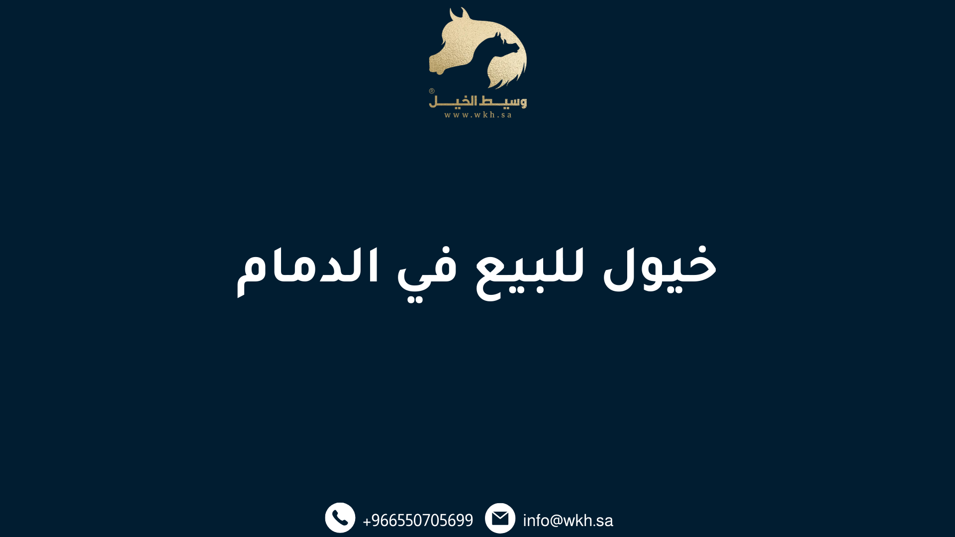 خيول للبيع في الدمام