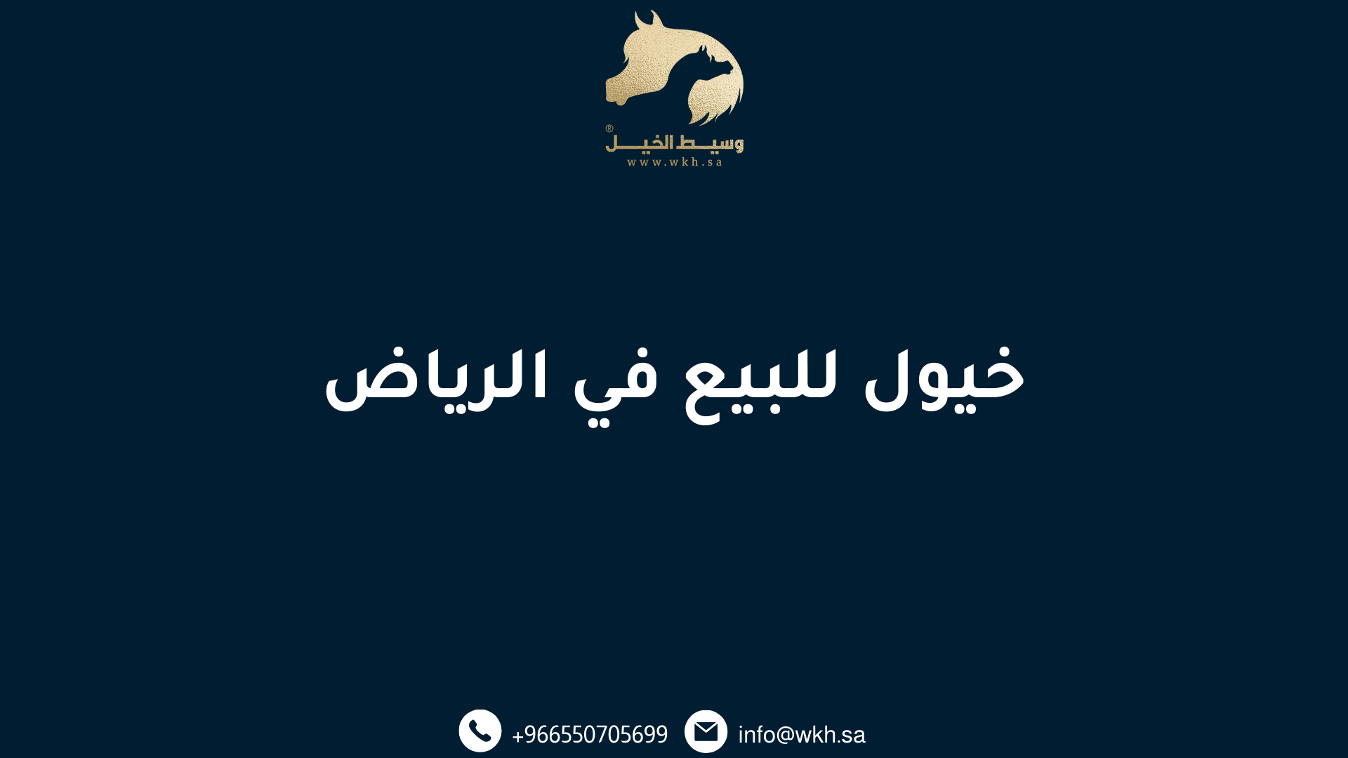 خيول للبيع في الرياض