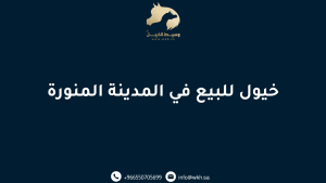 خيول للبيع في المدينة المنورة