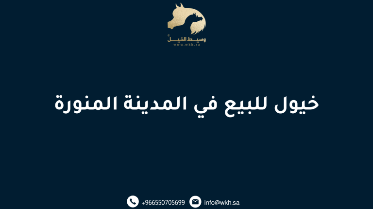 خيول للبيع في المدينة المنورة