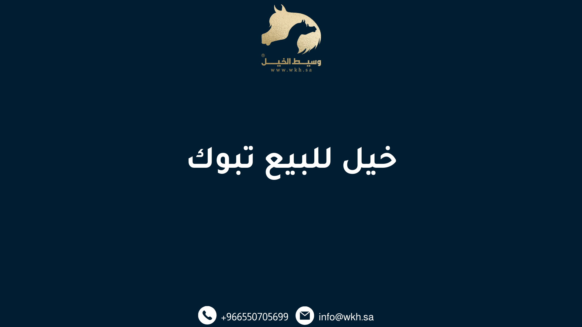 خيل للبيع تبوك