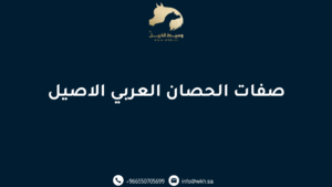 صفات الحصان العربي الاصيل