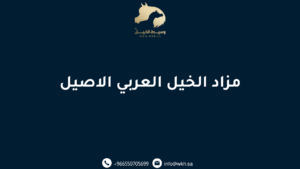 مزاد الخيل العربي الاصيل