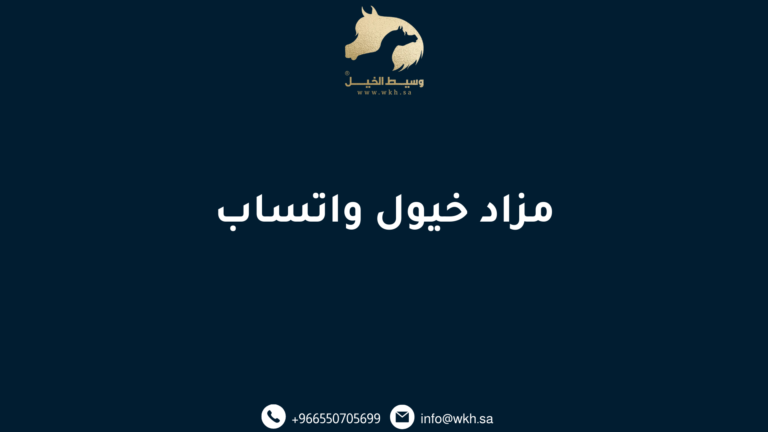 مزاد خيول واتساب