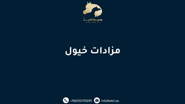 مزادات خيول (1)